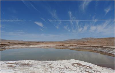 The Atacama Desert in Northern Chile as an Analog Model of Mars